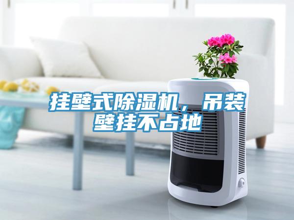 掛壁式除濕機，吊裝壁掛不占地
