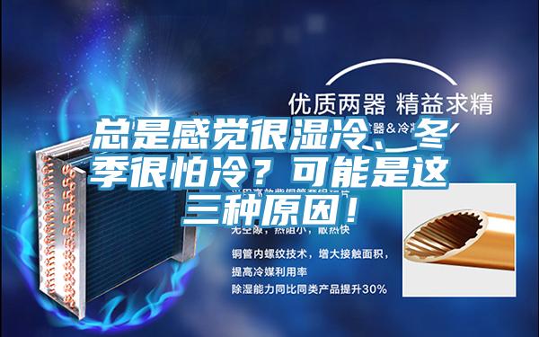總是感覺很濕冷、冬季很怕冷？可能是這三種原因！