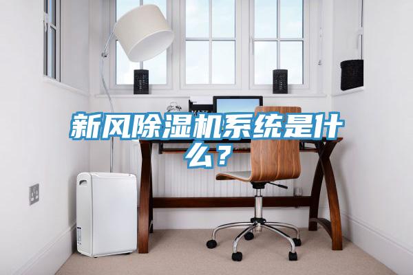 新風(fēng)除濕機(jī)系統(tǒng)是什么？