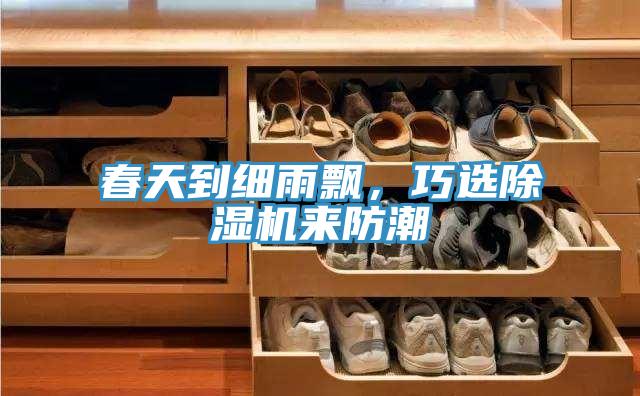 春天到細(xì)雨飄，巧選除濕機(jī)來防潮