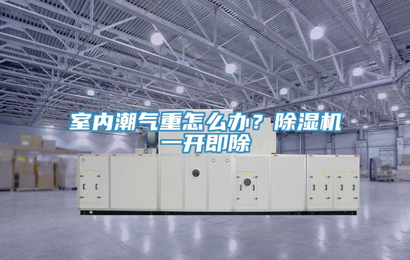 室內(nèi)潮氣重怎么辦？除濕機(jī)一開(kāi)即除