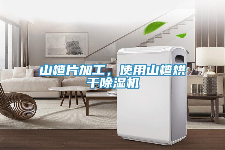 山楂片加工，使用山楂烘干除濕機(jī)