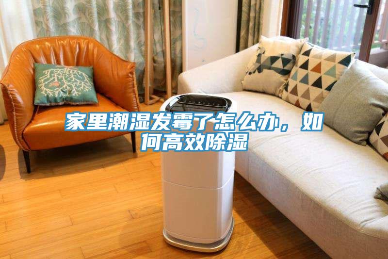 家里潮濕發(fā)霉了怎么辦，如何高效除濕