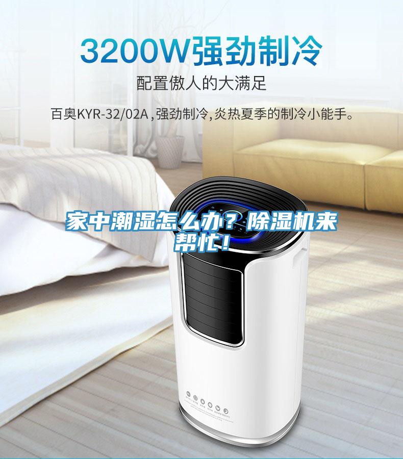 家中潮濕怎么辦？除濕機(jī)來(lái)幫忙！