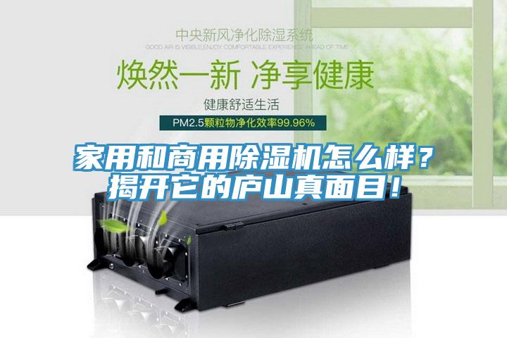 家用和商用除濕機(jī)怎么樣？揭開它的廬山真面目！