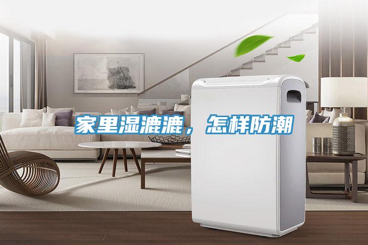 家里濕漉漉，怎樣防潮