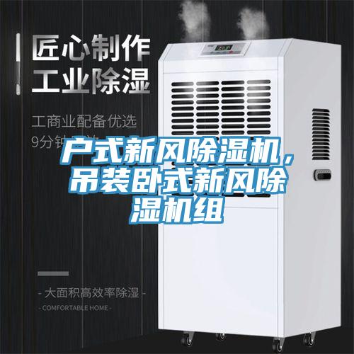 戶式新風(fēng)除濕機(jī)，吊裝臥式新風(fēng)除濕機(jī)組