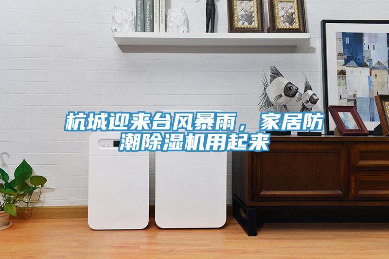 杭城迎來臺風(fēng)暴雨，家居防潮除濕機用起來