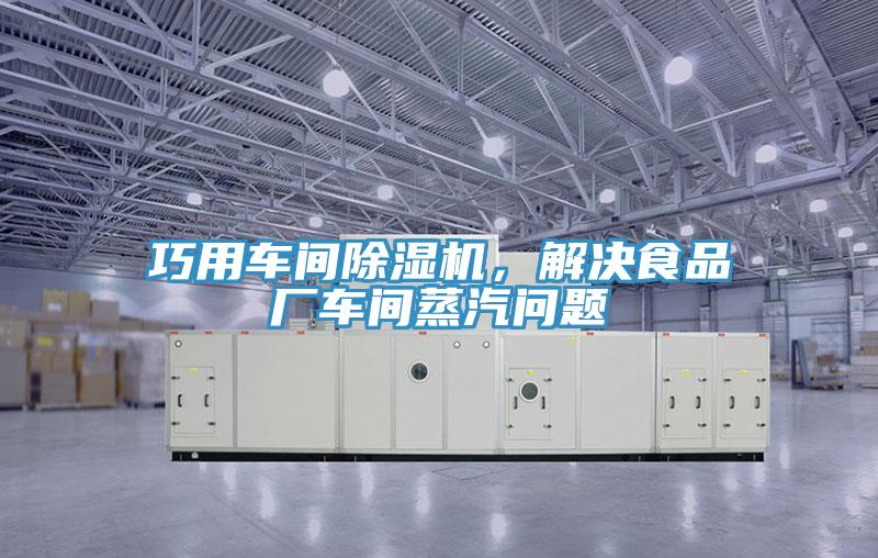 巧用車間除濕機(jī)，解決食品廠車間蒸汽問題