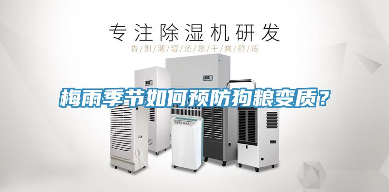 梅雨季節(jié)如何預(yù)防狗糧變質(zhì)？