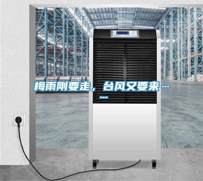 梅雨剛要走，臺風又要來……