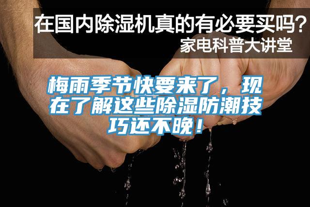 梅雨季節(jié)快要來了，現(xiàn)在了解這些除濕防潮技巧還不晚！