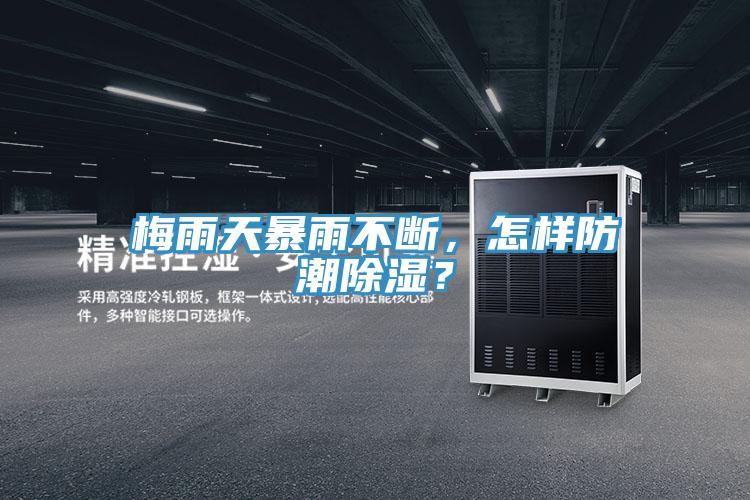 梅雨天暴雨不斷，怎樣防潮除濕？