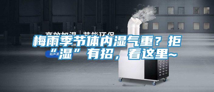 梅雨季節(jié)體內濕氣重？拒“濕”有招，看這里~