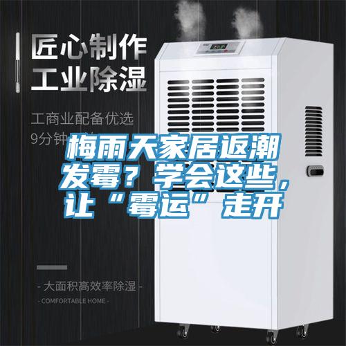 梅雨天家居返潮發(fā)霉？學(xué)會這些，讓“霉運”走開