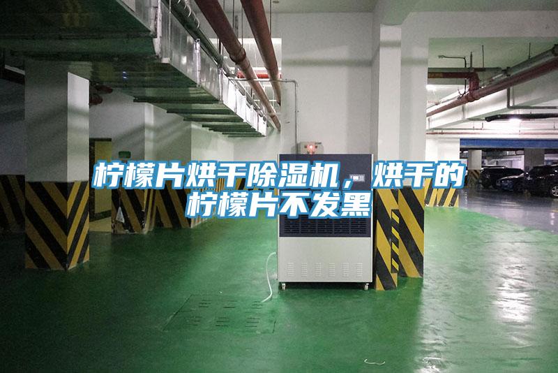 檸檬片烘干除濕機，烘干的檸檬片不發(fā)黑