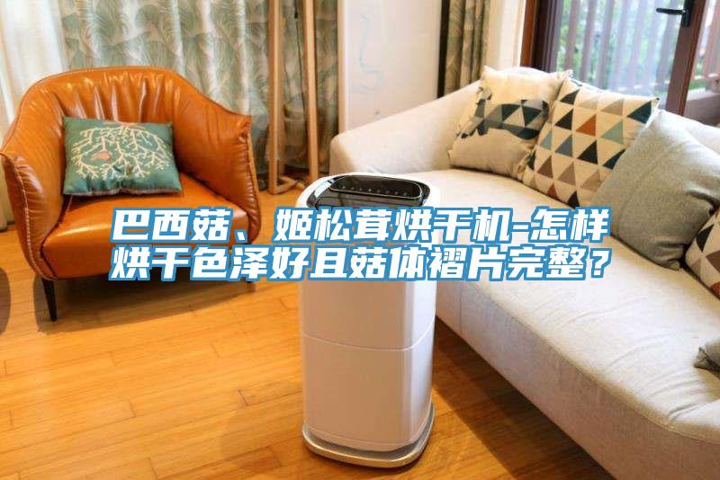 巴西菇、姬松茸烘干機(jī)-怎樣烘干色澤好且菇體褶片完整？
