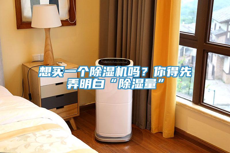 想買(mǎi)一個(gè)除濕機(jī)嗎？你得先弄明白“除濕量”