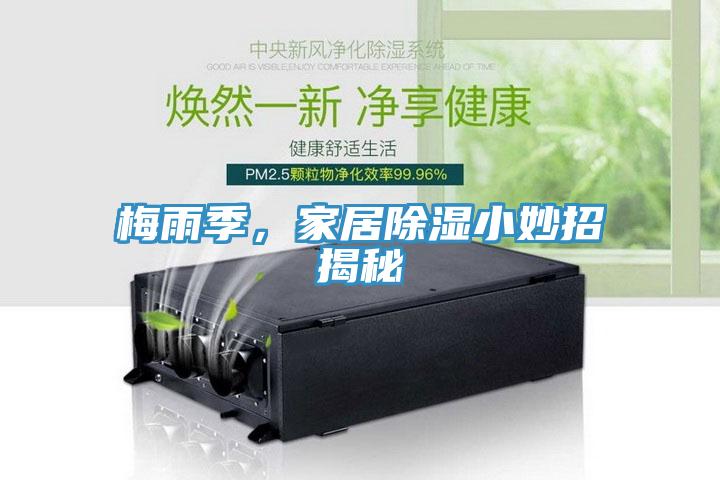 梅雨季，家居除濕小妙招揭秘