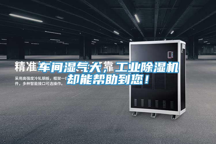 車間濕氣大，工業(yè)除濕機卻能幫助到您！