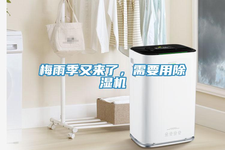 梅雨季又來了，需要用除濕機