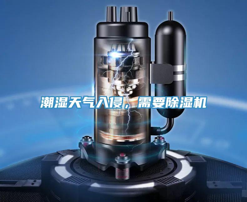 潮濕天氣入侵，需要除濕機