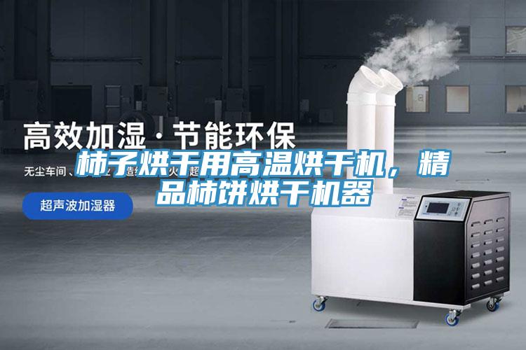 柿子烘干用高溫烘干機(jī)，精品柿餅烘干機(jī)器