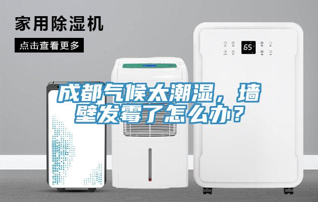 成都?xì)夂蛱睗瘢瑝Ρ诎l(fā)霉了怎么辦？