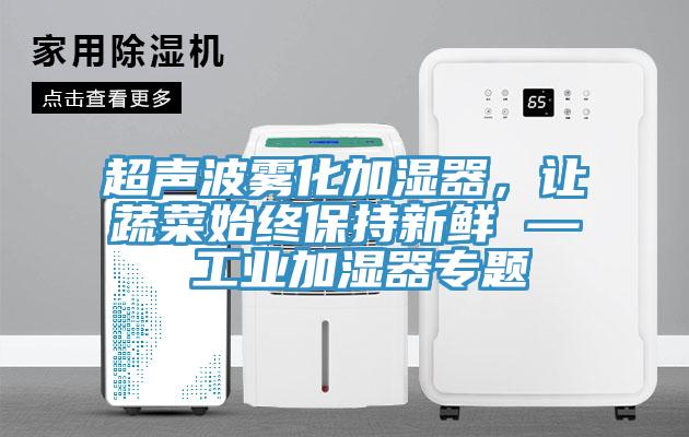 超聲波霧化加濕器，讓蔬菜始終保持新鮮 — 工業(yè)加濕器專題