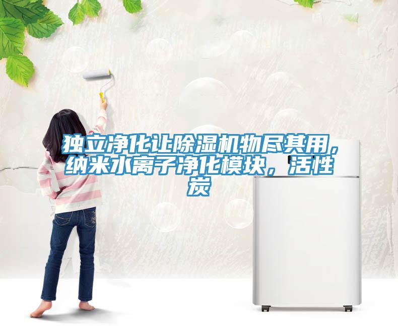 獨(dú)立凈化讓除濕機(jī)物盡其用，納米水離子凈化模塊，活性炭