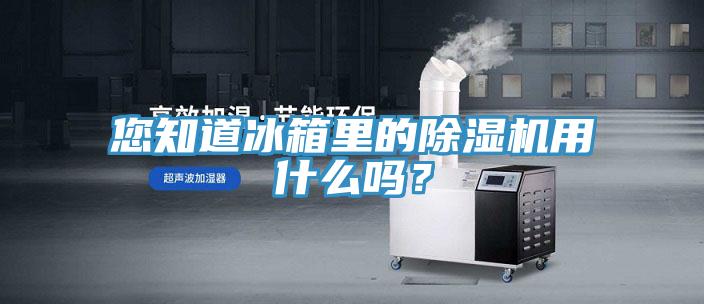 您知道冰箱里的除濕機(jī)用什么嗎？