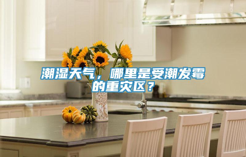 潮濕天氣，哪里是受潮發(fā)霉的重災區(qū)？