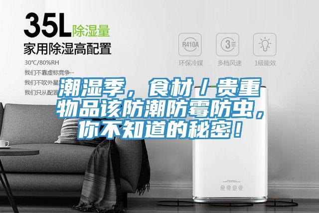 潮濕季，食材／貴重物品該防潮防霉防蟲，你不知道的秘密！