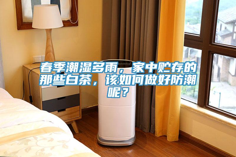 春季潮濕多雨，家中貯存的那些白茶，該如何做好防潮呢？