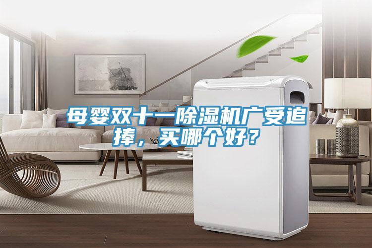 母嬰雙十一除濕機(jī)廣受追捧，買哪個好？