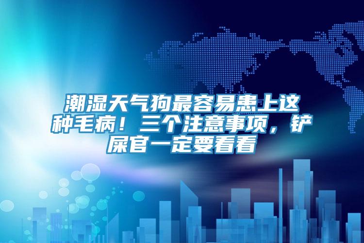 潮濕天氣狗最容易患上這種毛病！三個注意事項，鏟屎官一定要看看