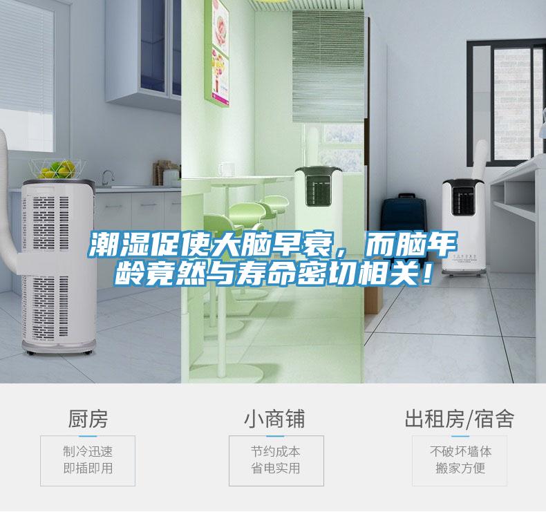 潮濕促使大腦早衰，而腦年齡竟然與壽命密切相關(guān)！