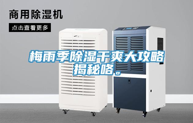 梅雨季除濕干爽大攻略揭秘咯。