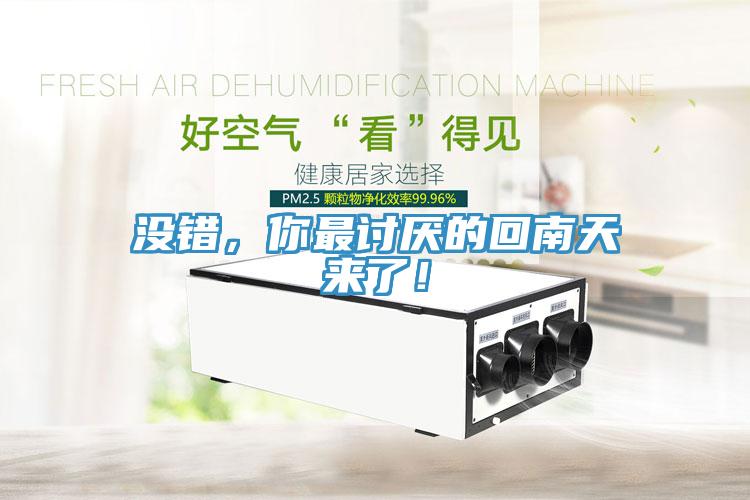 沒錯(cuò)，你最討厭的回南天來了！