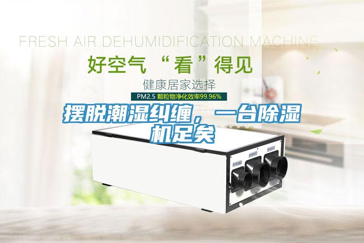 擺脫潮濕糾纏，一臺(tái)除濕機(jī)足矣