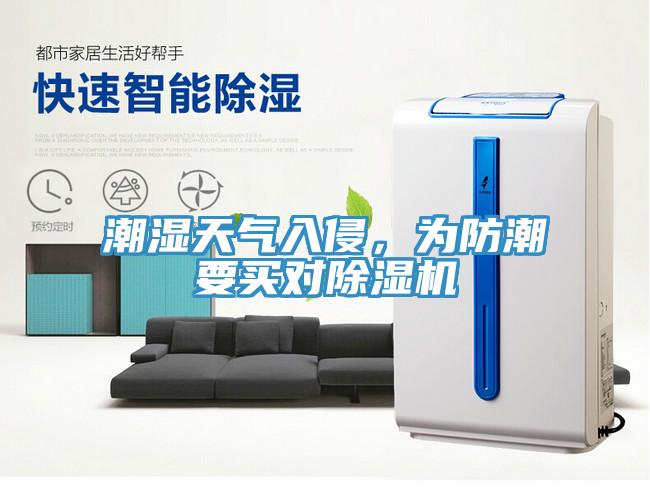 潮濕天氣入侵，為防潮要買對除濕機