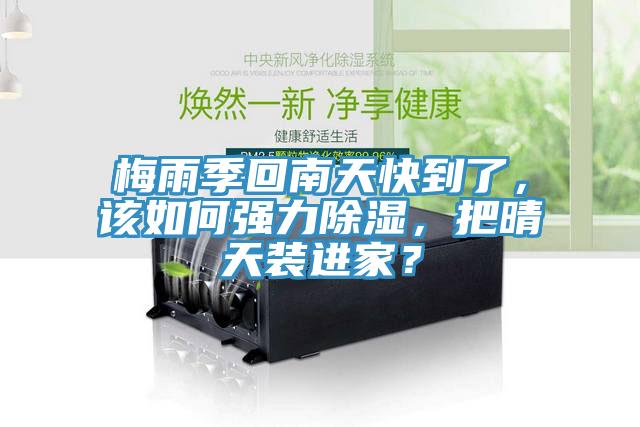 梅雨季回南天快到了，該如何強(qiáng)力除濕，把晴天裝進(jìn)家？