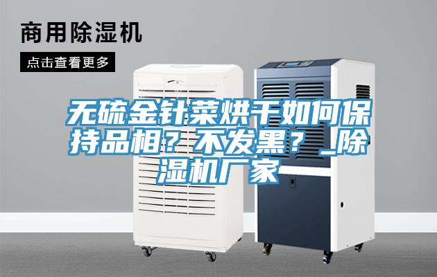 無(wú)硫金針菜烘干如何保持品相？不發(fā)黑？_除濕機(jī)廠家