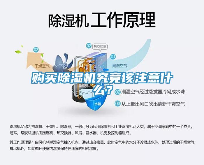 購(gòu)買除濕機(jī)究竟該注意什么？