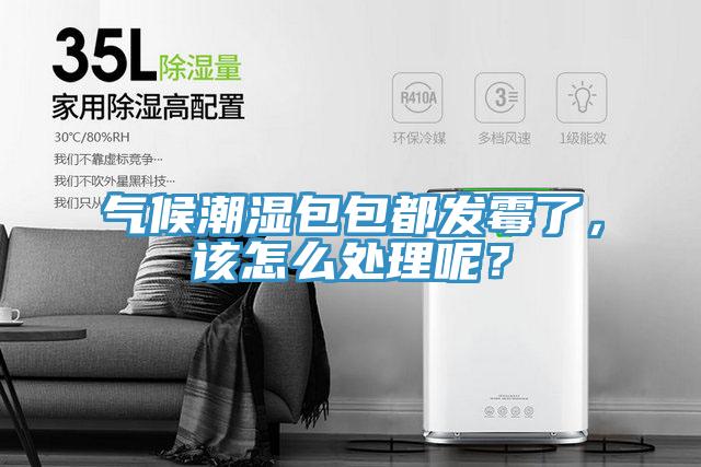 氣候潮濕包包都發(fā)霉了，該怎么處理呢？