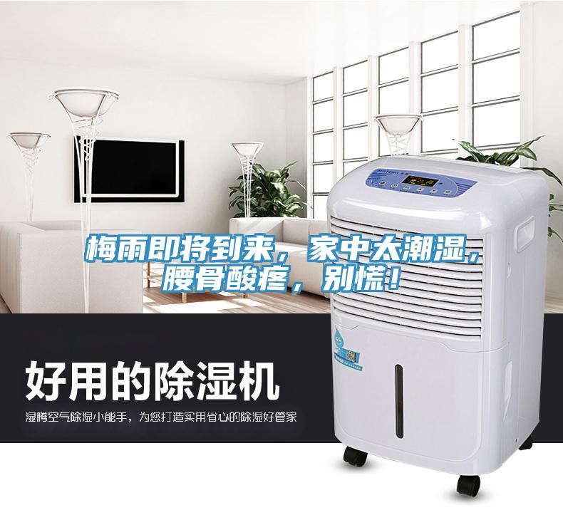 梅雨即將到來，家中太潮濕，腰骨酸疼，別慌！