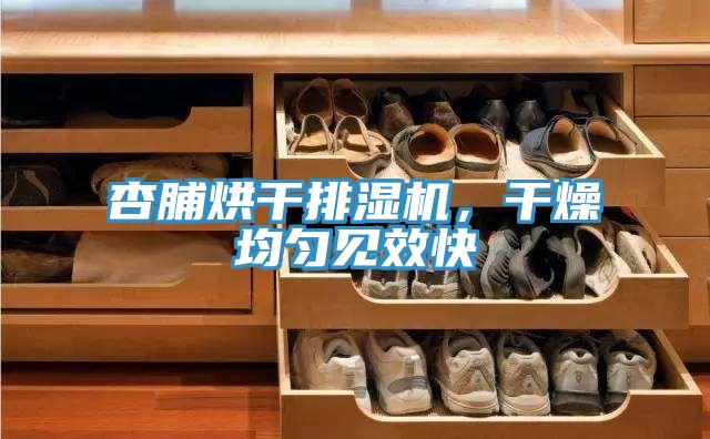 杏脯烘干排濕機(jī)，干燥均勻見效快