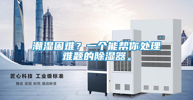 潮濕困難？一個能幫你處理難題的除濕器。