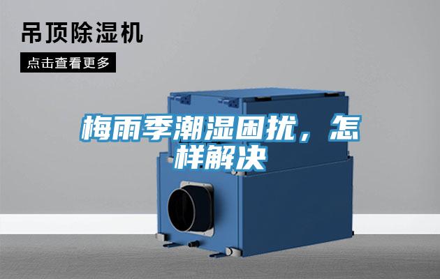 梅雨季潮濕困擾，怎樣解決