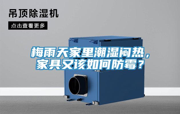 梅雨天家里潮濕悶熱，家具又該如何防霉？